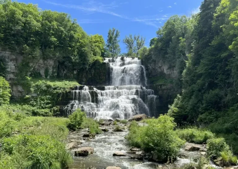 Chittenango Falls cascading through the gorge